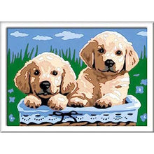 Creart Cani Retriever