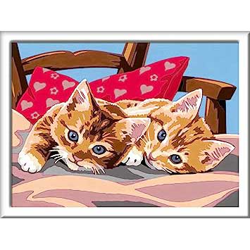 Creart Gattini Sul Cuscino