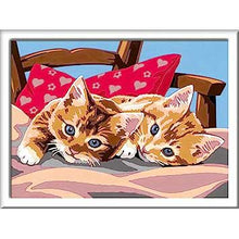Creart Gattini Sul Cuscino